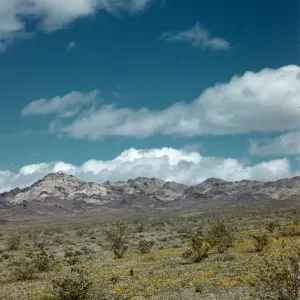mountains of southern Death Valley entrance, desert poppies in bloom, clouds