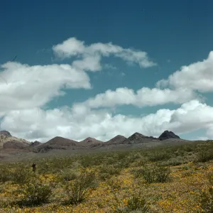 Jubilee Pass, Death Valley National Park