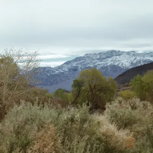view west from Scotty's Castle