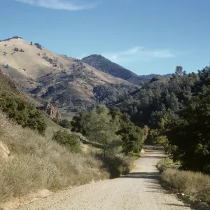 Figueroa Mountain, on road approaching Grass Mountain