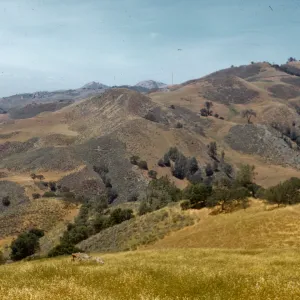 near Zaca Peak, on Figueroa Road