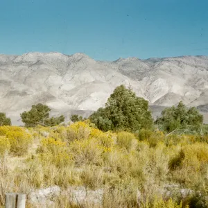 Inyo Mountains, from near Big Pine