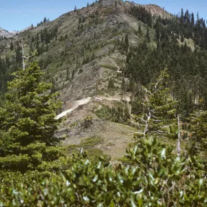 vegetation change on mountain ridge in Siskiyous, taken from Siskiyou summit