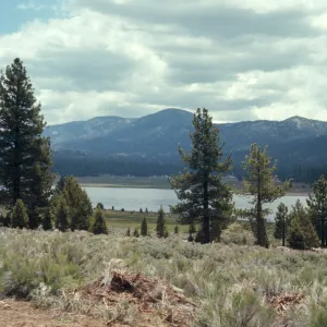 Big Bear Lake from east side, near Fawnskin, elevation 6,800 feet
