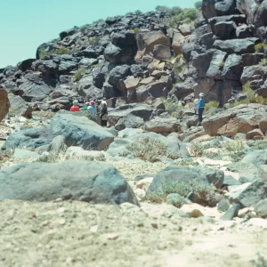 Renegade Canyon, SBBG field trip at petroglyphs, China Lake