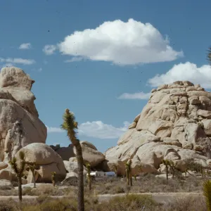 tall monolith, rock outcrops, Joshua Tree National Monument