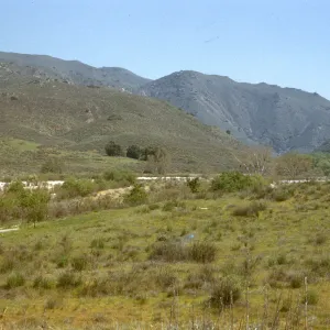 Glen Ivy, Corona, upper Sonoran desert