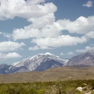 Mt. San Gorgonio from 1000 Palms Rd.