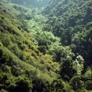 Mission Canyon