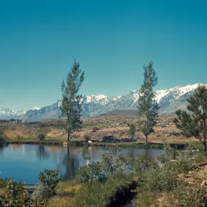 Tinemaha Ranch