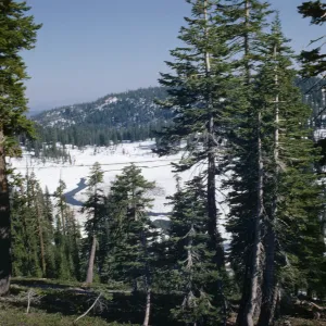 Mount Lassen Park, King Creek Meadows
