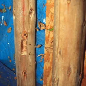 Tea House Construction 2001