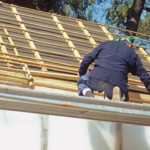 Tea House Construction 2001