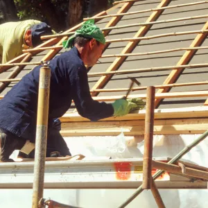Tea House Construction 2001