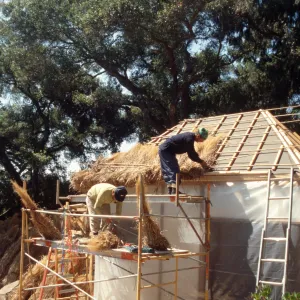 Tea House Construction 2001