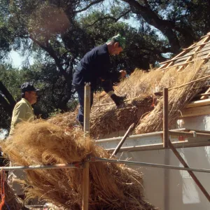 Tea House Construction 2001