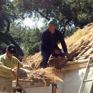 Tea House Construction 2001