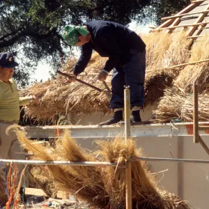 Tea House Construction 2001