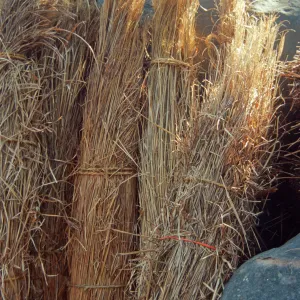 Tea House Construction 2001