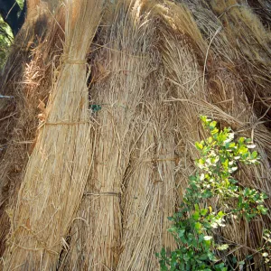 Tea House Construction 2001