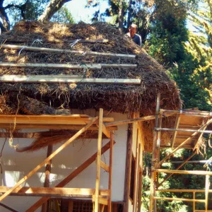 Tea House Construction 2001