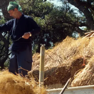 Tea House Construction 2001