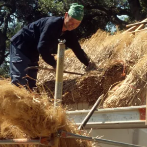 Tea House Construction 2001
