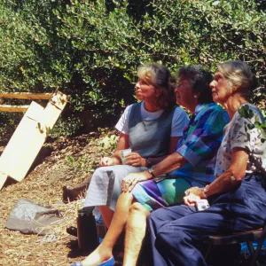 Tea House Construction 2001