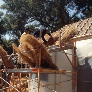 Tea House Construction 2001