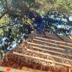 Tea House Construction 2001