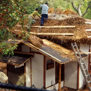 Tea House Construction 2001