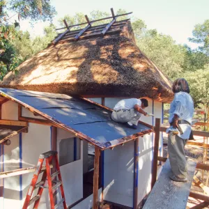 Tea House Construction 2001