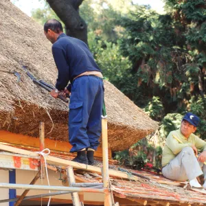 Tea House Construction 2001
