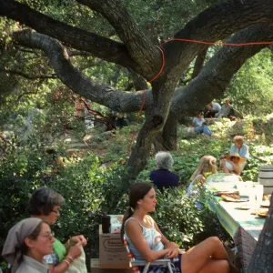 Music Academy of the West event, 1979, under the oaks (Ilene Flush, Lila, Emily Hendon)