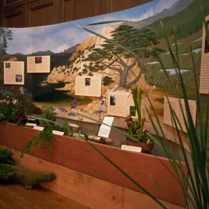 'Treasures of the Flora' exhibit, 1989