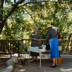 reception table, Ironwood Circle Event, 1994, at the Home Demonstration Garden, reception table