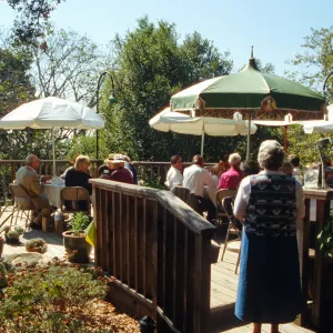 Ironwood Circle Luncheon, 1994 on the Home Demonstration Deck