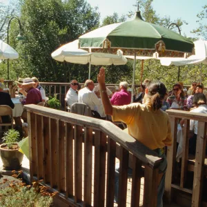 Ironwood Circle Luncheon, 1994 on the Home Demonstration Deck