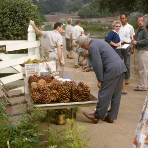 SBBG Plant Sale