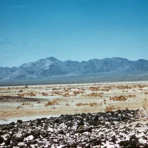 Bristoll Dry Lake, Alkali Sink