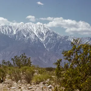 Mt San Jacinto from 1000 Palms Road