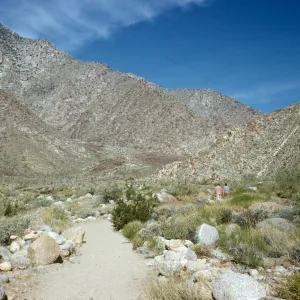 start of trail up Palm Canyon, Borego