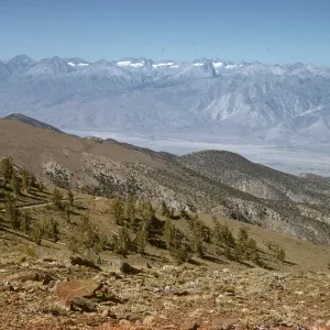 Owen's Valley from top of Silver Canyon, White Mountains