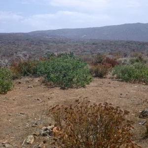 Lockwood Valley