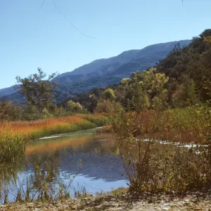 Lower Oso pond