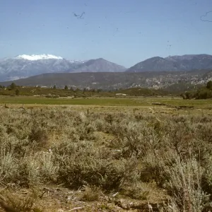 Mt San Jacinto Peak from Pines to Palms Highway