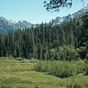 meadow in front of Mount Meadow Ranch, Trinity Alps