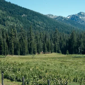 meadow in front of Mountain Meadow Ranch,Trinity Alps