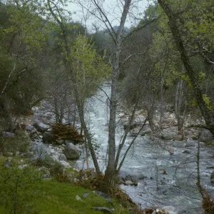 Jolon Creek