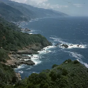 California coast north of Big Creek